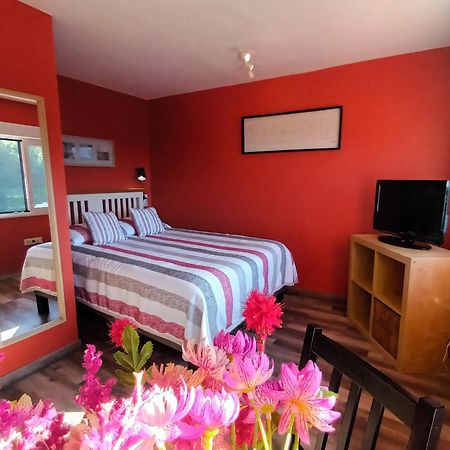 Apartamentos La Casa Del Pintor 쿠딜레로 객실 사진